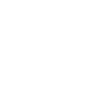 Simulation